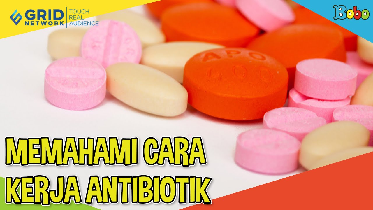 Cara Kerja Obat Antibiotik Di Tubuh