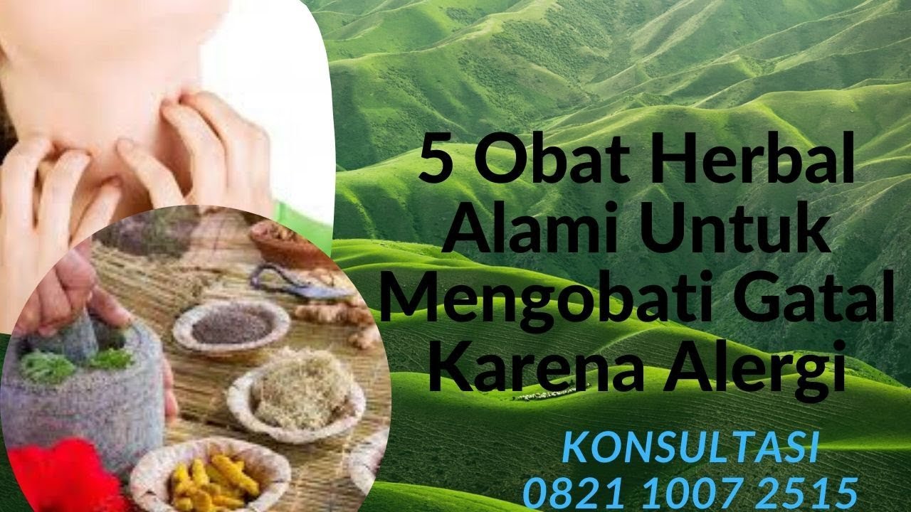 5 Obat Herbal Alami Untuk Mengobati Gatal Karena Alergi - YouTube
