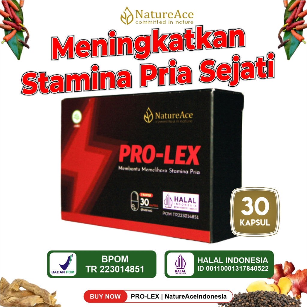 Obat Herbal Untuk Meningkatkan Daya Tahan Tubuh