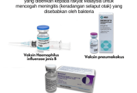 Informasi Vaksinasi Untuk Pencegahan Penyakit